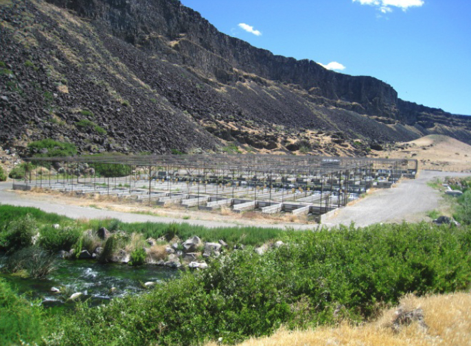 CSI to buy fish hatchery for 2.4 million